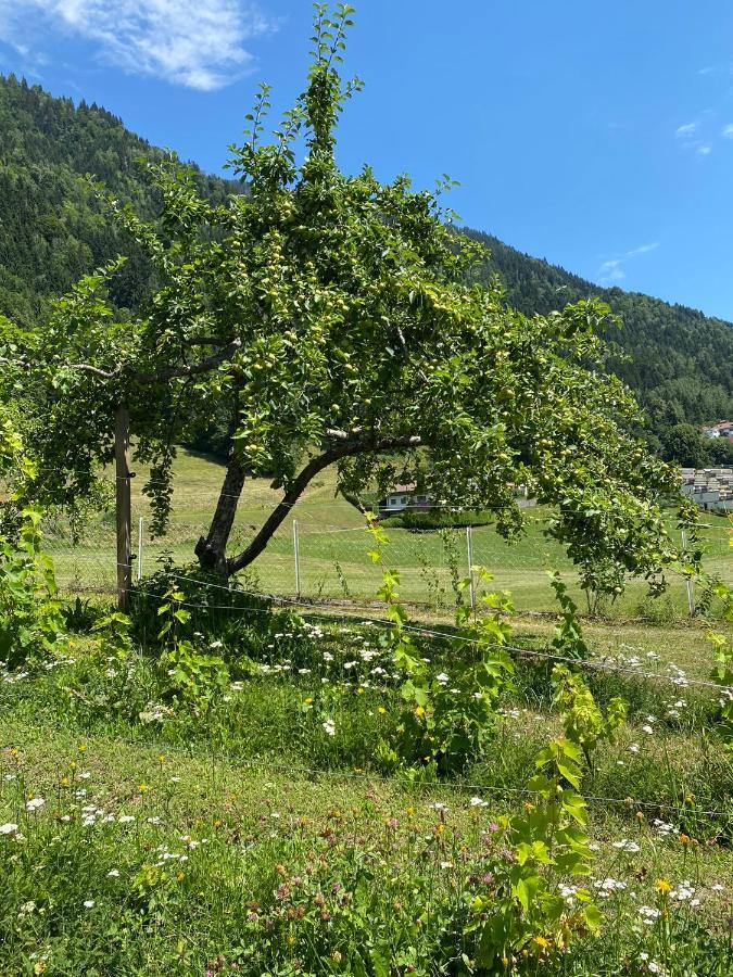 Landhaus Marmorata Sattendorf Bagian luar foto